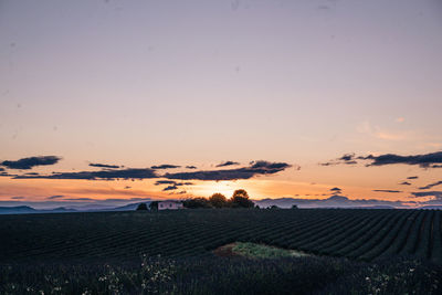 Scenic view of field against sky during sunset