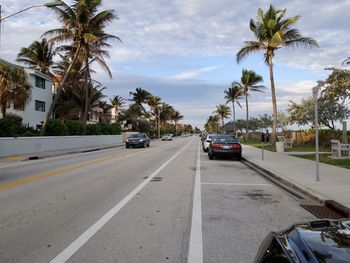 Cars on road by palm trees against sky