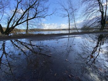 Reflection of bare trees in lake