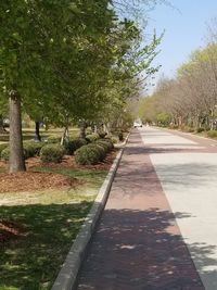 Footpath in park against sky