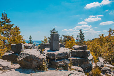 Plants growing on rocks against sky