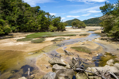 View of rocks in water with trees against cloudy sky