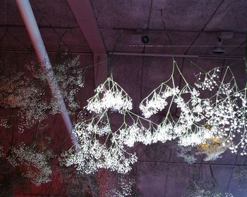 Low angle view of christmas decoration hanging on tree