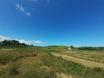 Scenic view of field against blue sky