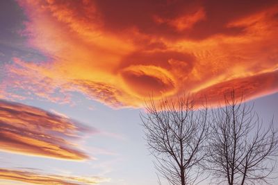 Low angle view of bare tree against dramatic sky
