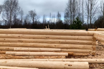 Stack of logs on field against sky