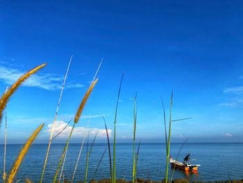 Sailboats in sea against blue sky