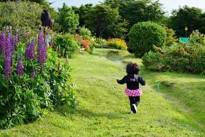 Rear view of girl walking on grassy field in park