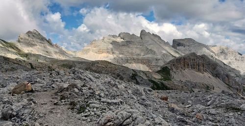 Suggestive view of the green dolomite mountains in summer