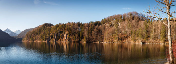 Scenic view of lake in forest against sky