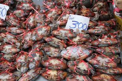 market