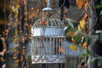 Close-up of bird feeder