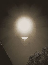 Low angle view of illuminated tree against sky