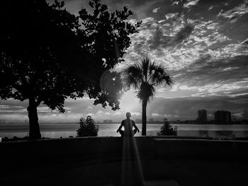 Silhouette trees against sky at sunset