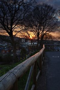 Bare trees against sky at sunset