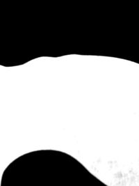 Close-up of over white background