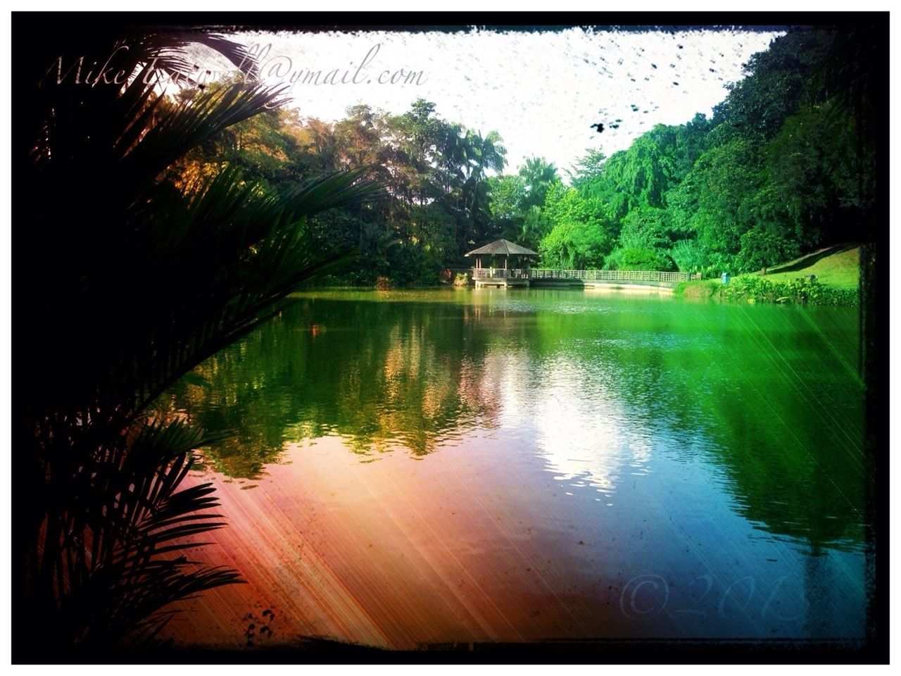 Singapore botanic gardens