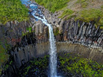 Low angle view of waterfall in forest