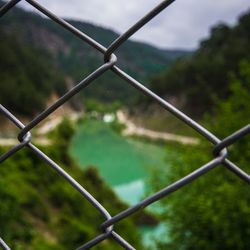 Close-up of chainlink fence