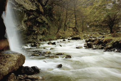 Scenic view of waterfall in forest