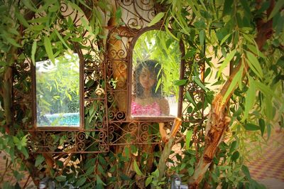 View of trees through window