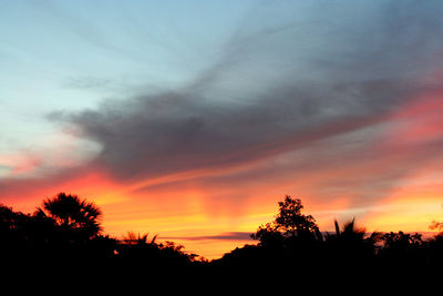 Low angle view of silhouette trees against dramatic sky