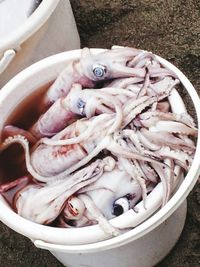 High angle view of noodles in container