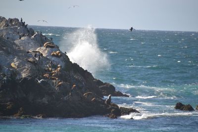 Scenic view of sea against clear sky