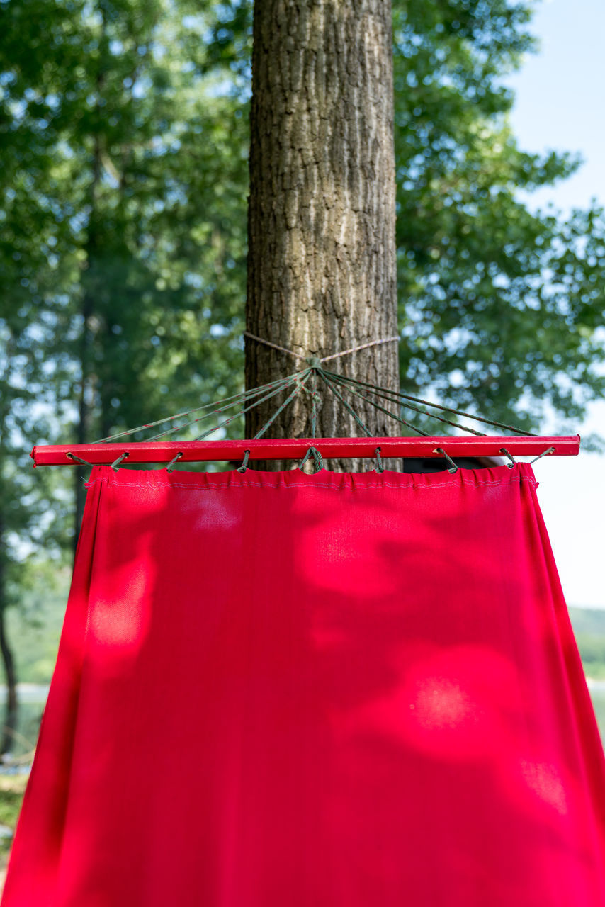 LOW ANGLE VIEW OF RED HANGING FROM TREE