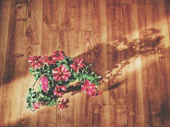 Close-up of flowers on wood