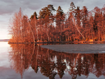 Autumn trees reflecting on calm lake