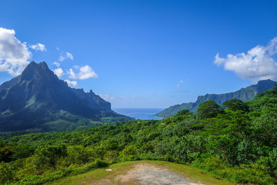 Scenic view of landscape against sky