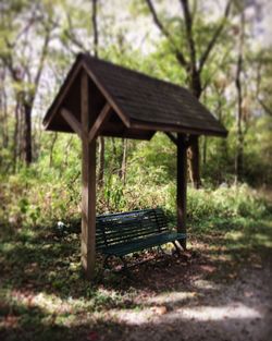 Gazebo in forest