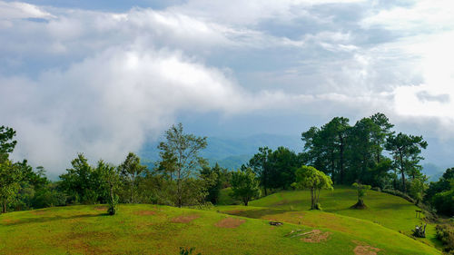 Scenic view of trees on hill at huay nam dang national park