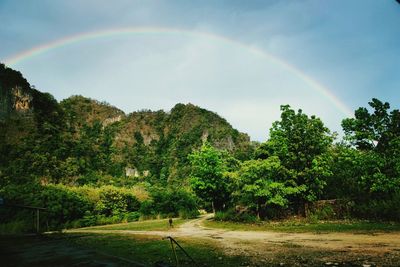 Scenic view of rainbow over trees against sky