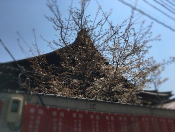 Low angle view of tree against building