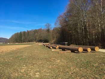 Hay bales on field against sky