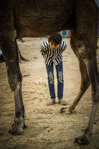 Rear view of man riding horse on field