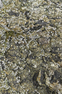 Full frame shot of white and rock