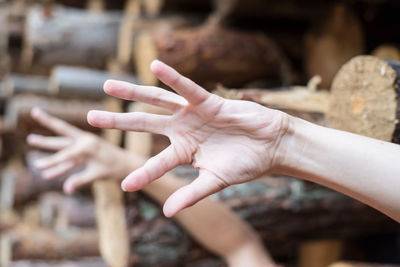 Cropped hands of children gesturing amidst logs