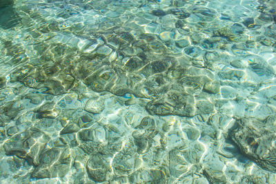 Crystal clear water of the tropical sea