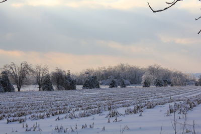 Snow covered field against cloudy sky