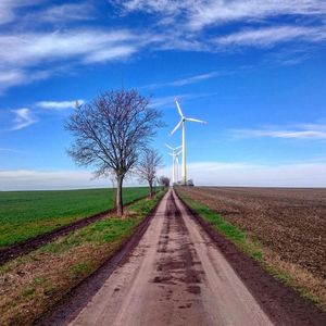 Road by tree against sky