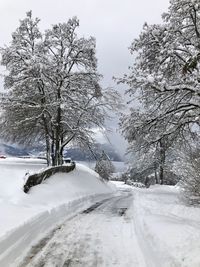 Snow covered road by trees against sky