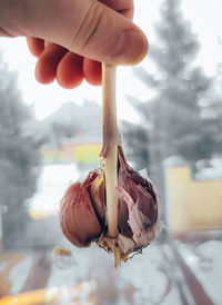 Close-up of hand holding ice cream