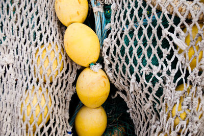 High angle view of fruits on fruit