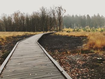 Empty road amidst trees in forest against sky