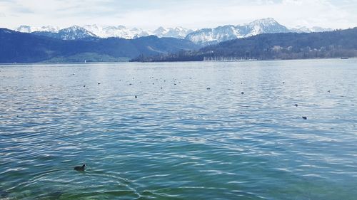 Scenic view of lake and mountains