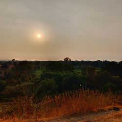 Scenic view of field against sky during sunset