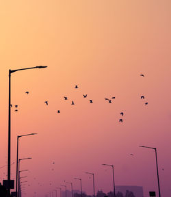 Low angle view of birds flying in sky